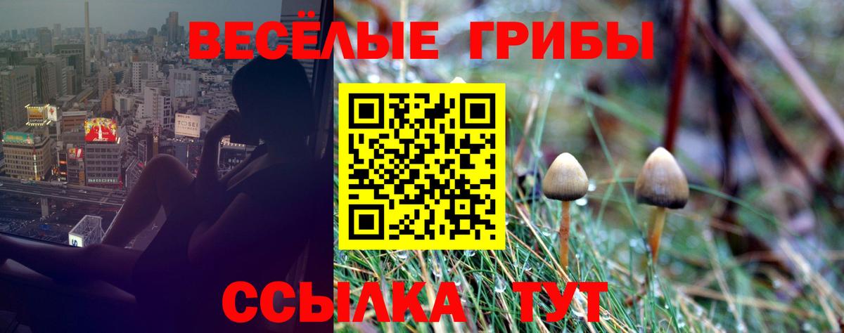Псилоцибиновые грибы прущие грибы  Псилоцибиновые грибы Psilocybine cubensis  Вход с VPN  Невинномысск 